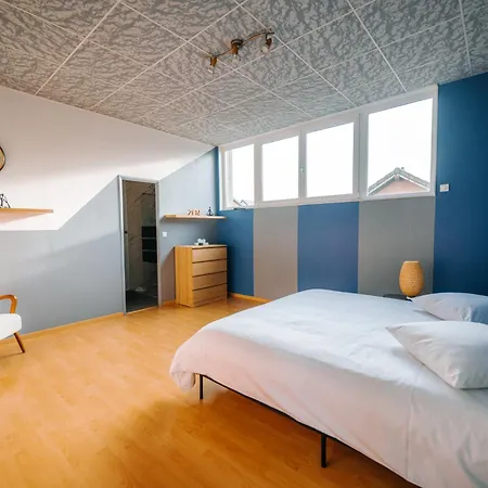 Le Loft De La Route Des Vins * Guebwiller