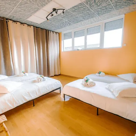 Le Loft De La Route Des Vins Apartment *