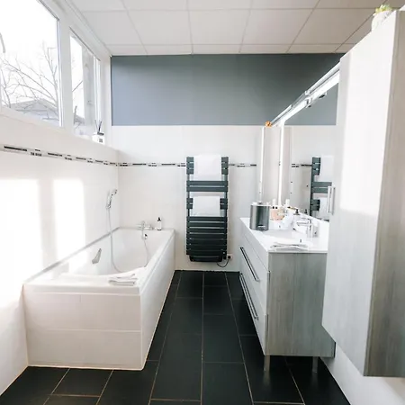 Le Loft De La Route Des Vins * Guebwiller